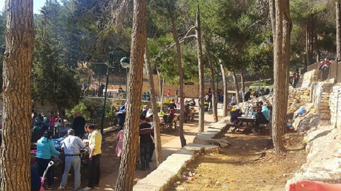 Raddana Woodland